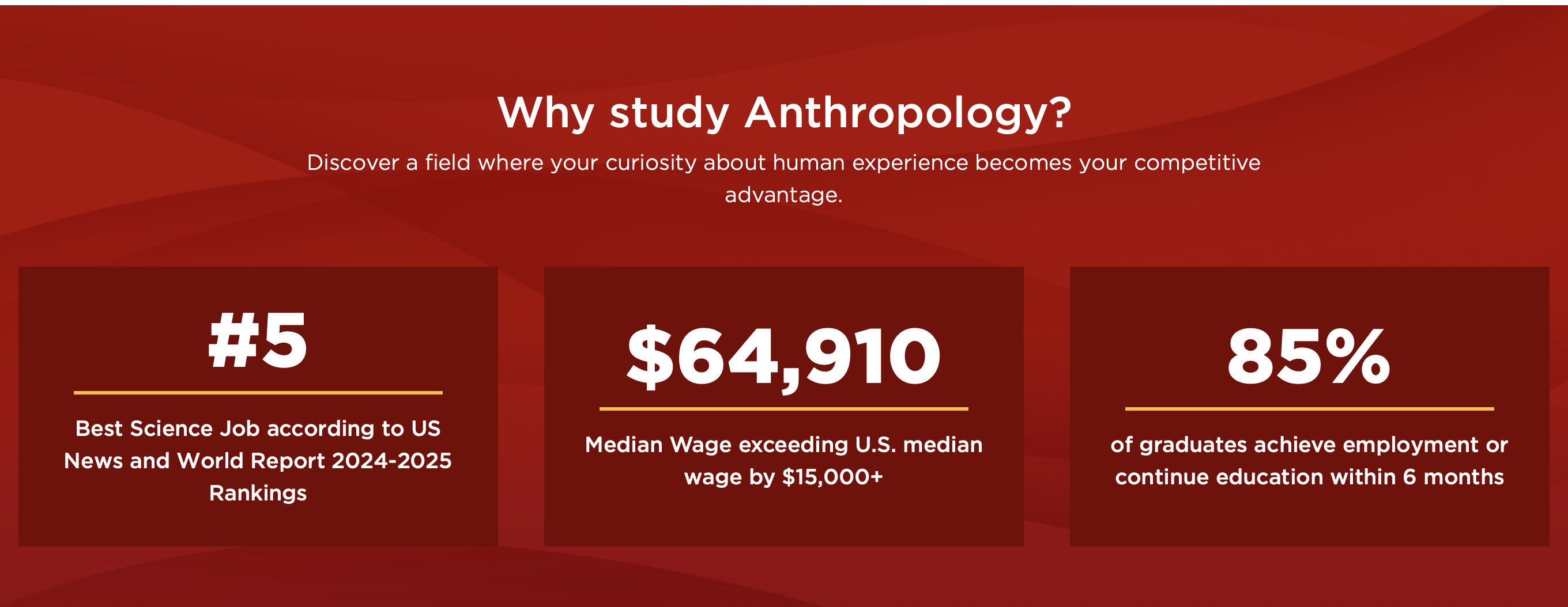 Why Study Anthropology graphic